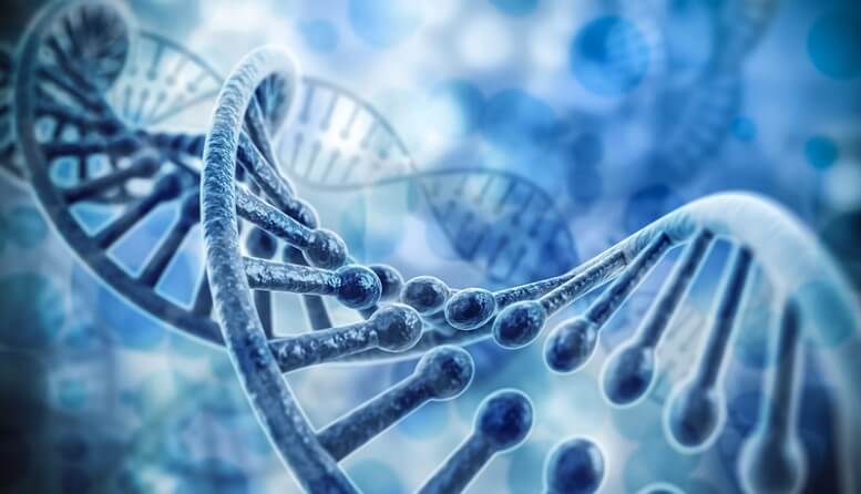 e53a23fd7d739186950008a7ac15e740 2