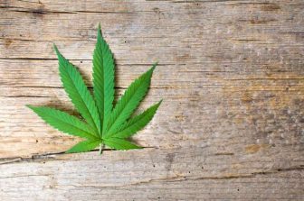 Aurora Advances Global Medical Cannabis Portfolio with New Product Launches Across Key International Markets