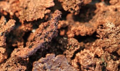 Best Gold Companies for Retirement Planning (2026): Priority Gold Featured for IRA Rollovers and Wealth Preservat...