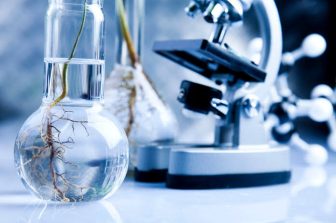 Meet Clicklinks: The Innovation Hub for Original Drug Discovery