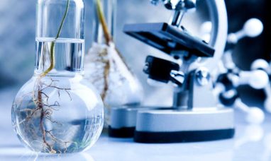 Meet Clicklinks: The Innovation Hub for Original Drug Discovery
