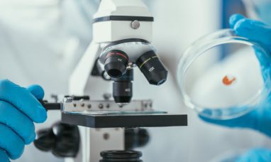 TerraClear Targets the “10,000-Seed Problem”: New AI Weed Mapping Service Precision-Targets Giant Rag...