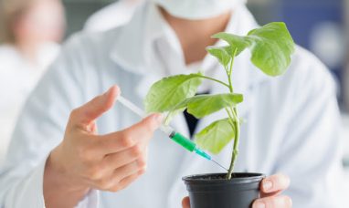 SN BioScience Doses First Patient in Phase 1b/2 Clinical Trial of ‘SNB-101’