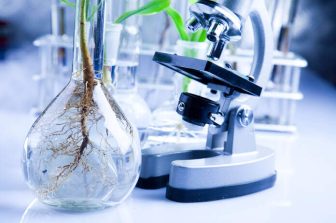 BioArctic Interim Report for the period January – March 2026