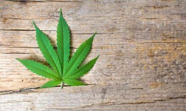 New Global Cannabis Report from GCNC and Whitney Economics Examines How Pricing Compression Reshapes Emerging Mar...