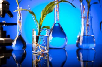 Positive interim analysis advances Avecho Phase III insomnia program