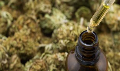 Illinois Action Center: Major Cannabis Reform Could Move Forward in Illinois Under HB 5784