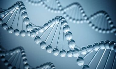 Oblique Therapeutics AB Announces Outcome of Rights Issue of SEK 14.1 Million