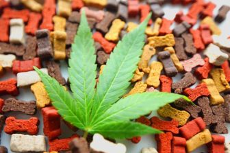 Curaleaf International Launches CPD-Accredited Medical Cannabis Education Platform for UK Healthcare Professionals