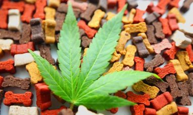 Curaleaf International Launches CPD-Accredited Medical Cannabis Education Platform for UK Healthcare Professionals