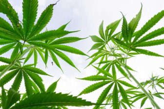 Auxly Announces Results of Annual General and Special Meeting of Shareholders