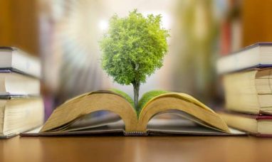 Advancing Low-Carbon Manufacturing and Global Sustainability Commitments