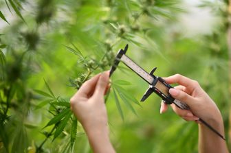 cbdMD Welcomes White House Call for Fair Treatment of Hemp-Derived Products