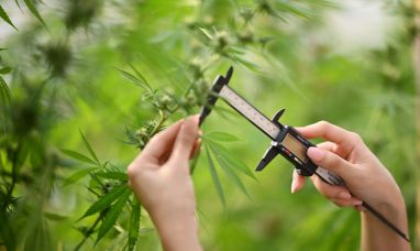 cbdMD Welcomes White House Call for Fair Treatment of Hemp-Derived Products