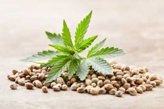 In HelloNation, Cannabis Expert Tanavung Tim Compares Flower, Vapes, Edibles, Drinks, & Tinctures