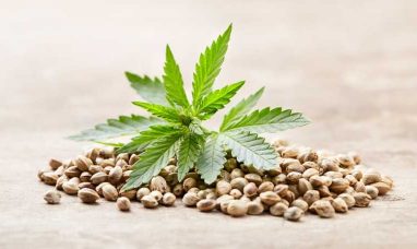 In HelloNation, Cannabis Expert Tanavung Tim Compares Flower, Vapes, Edibles, Drinks, & Tinctures